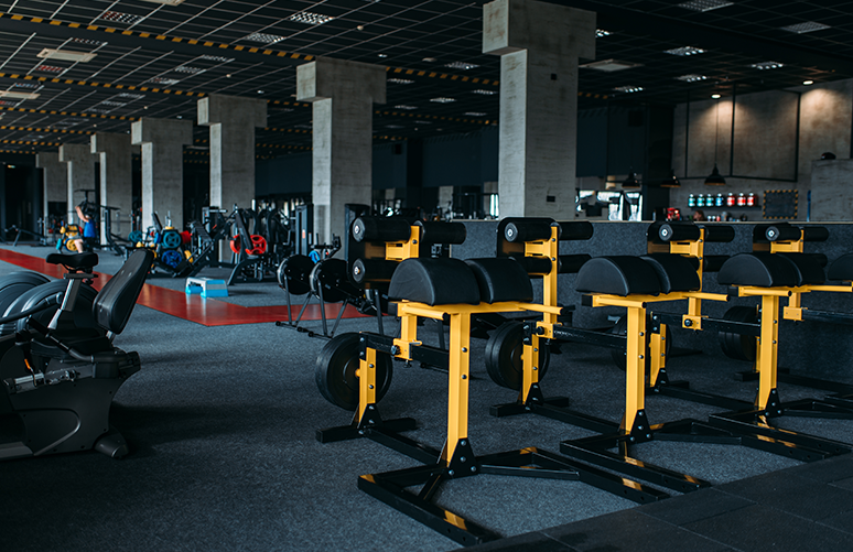 Commercial Free Weights Showcase