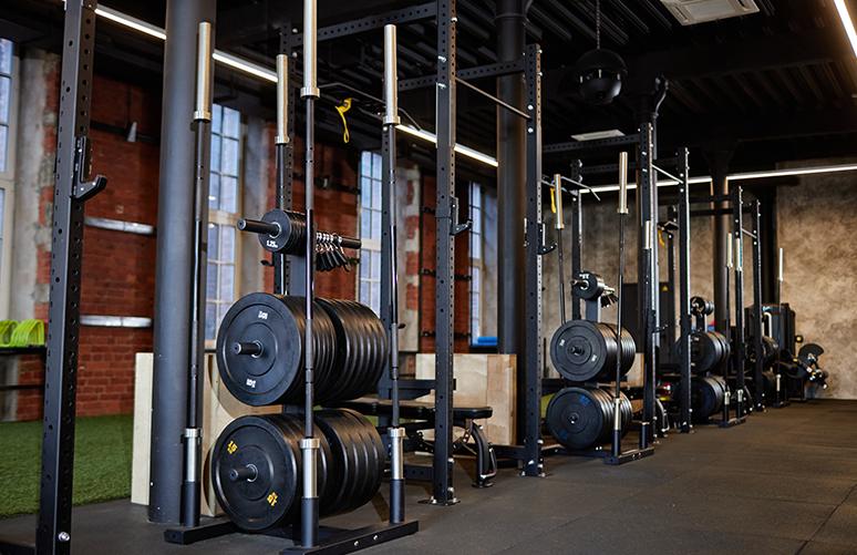Commercial Free Weights Showcase