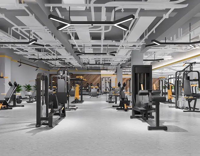  Gyms Chains